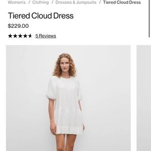 Club Monaco Tiered Cloud Dress